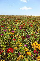 《七龙珠 电光炸裂！ZERO》PC配置公布 意外地低